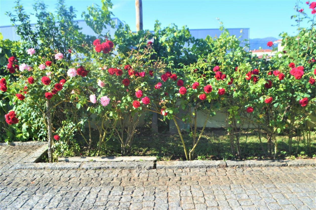 Casa Limia Hotel Ponte de Lima Kültér fotó